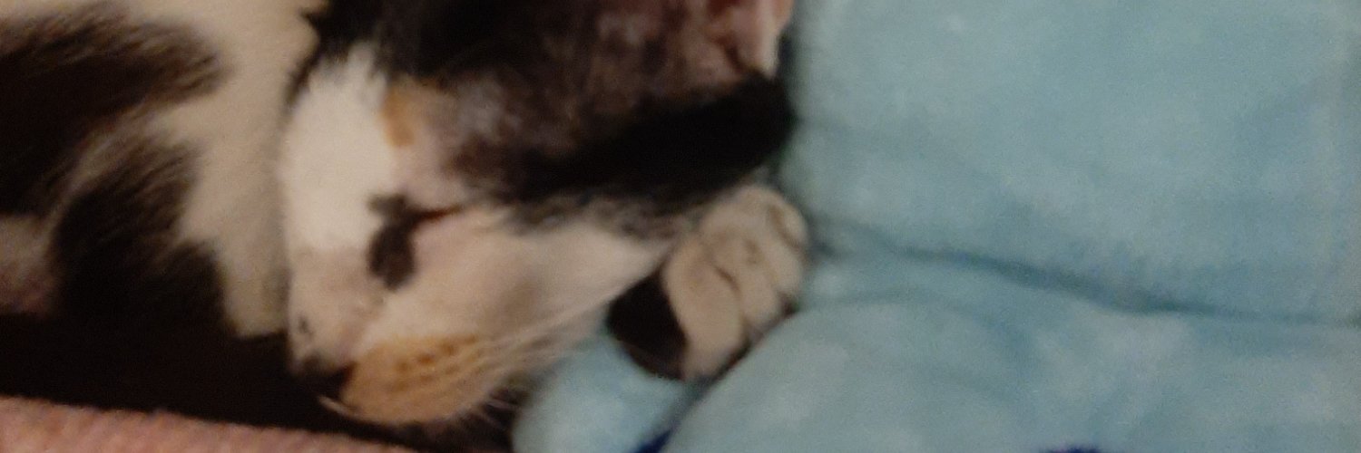 ialjunior's profile banner image