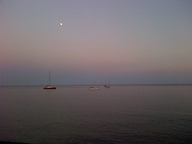 Pasquale D'Innella C banner