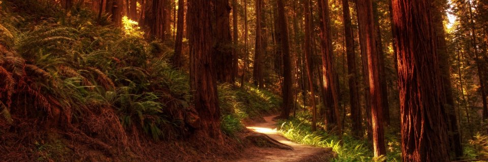 LoRyderr's profile banner image