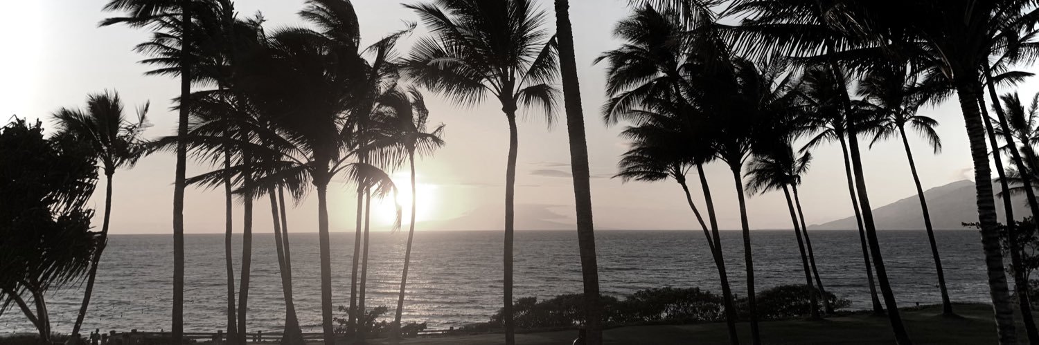 Chanslor's profile banner image