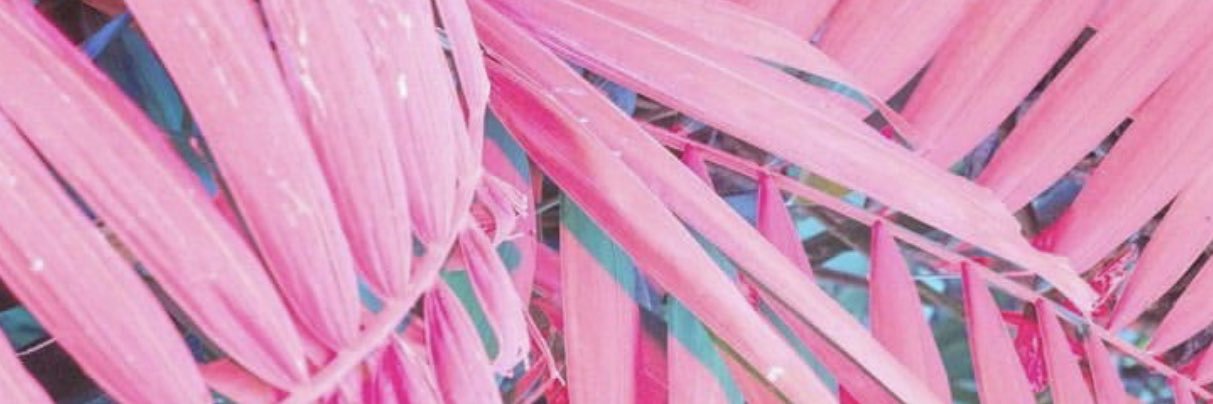 RealPrettyDolly's profile banner image