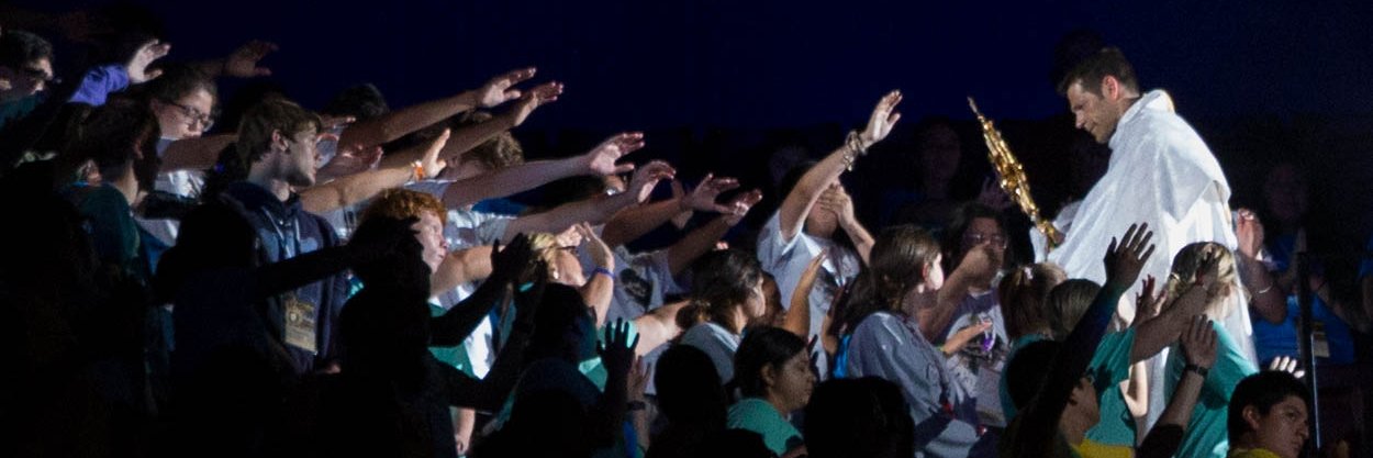 SteubySTL banner