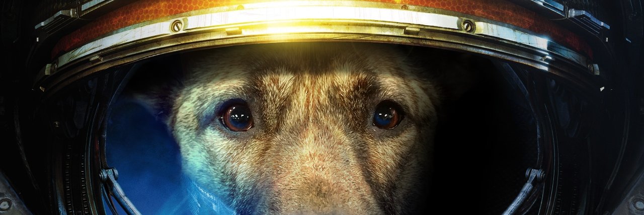 Mastibro's profile banner image