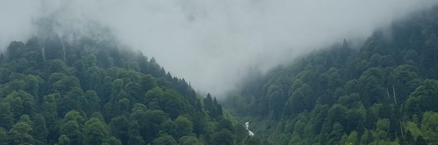 SimgeAkkoyun's profile banner image