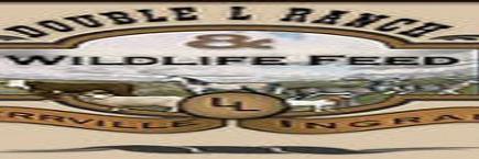 TheBuckRadio's profile banner image