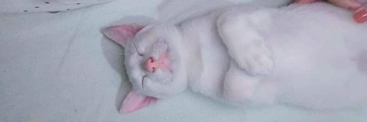 ChrstlMarieee's profile banner image