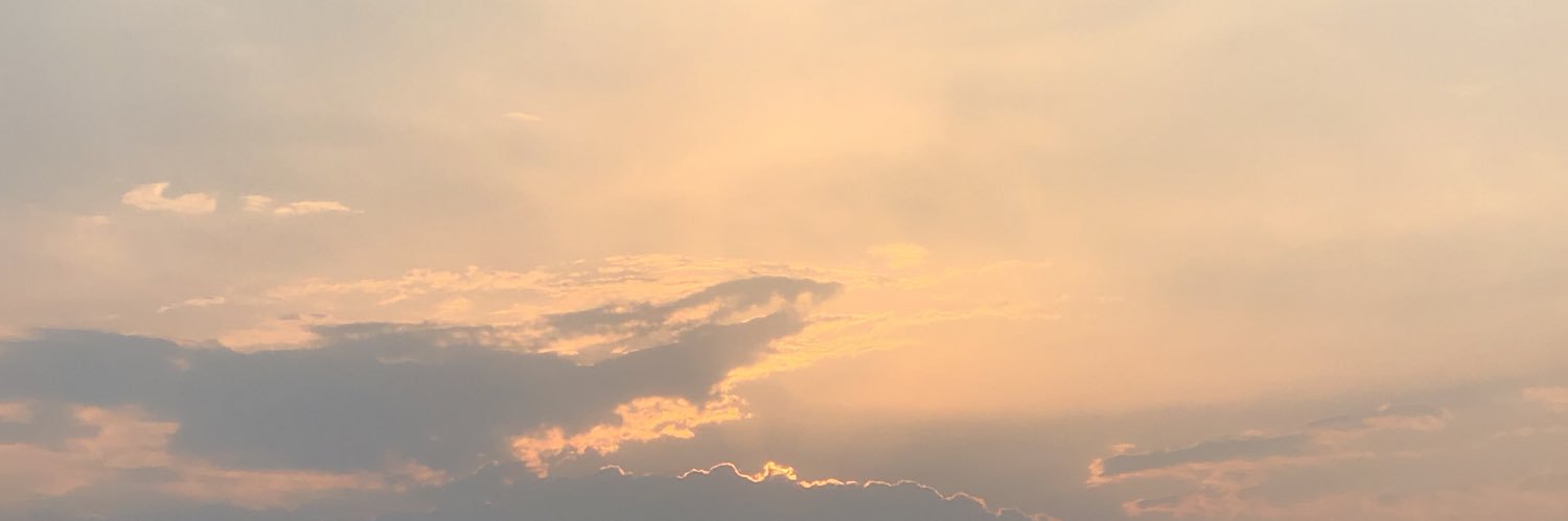 seka_suki's profile banner image