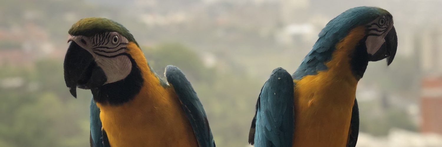 geraltovar's profile banner image