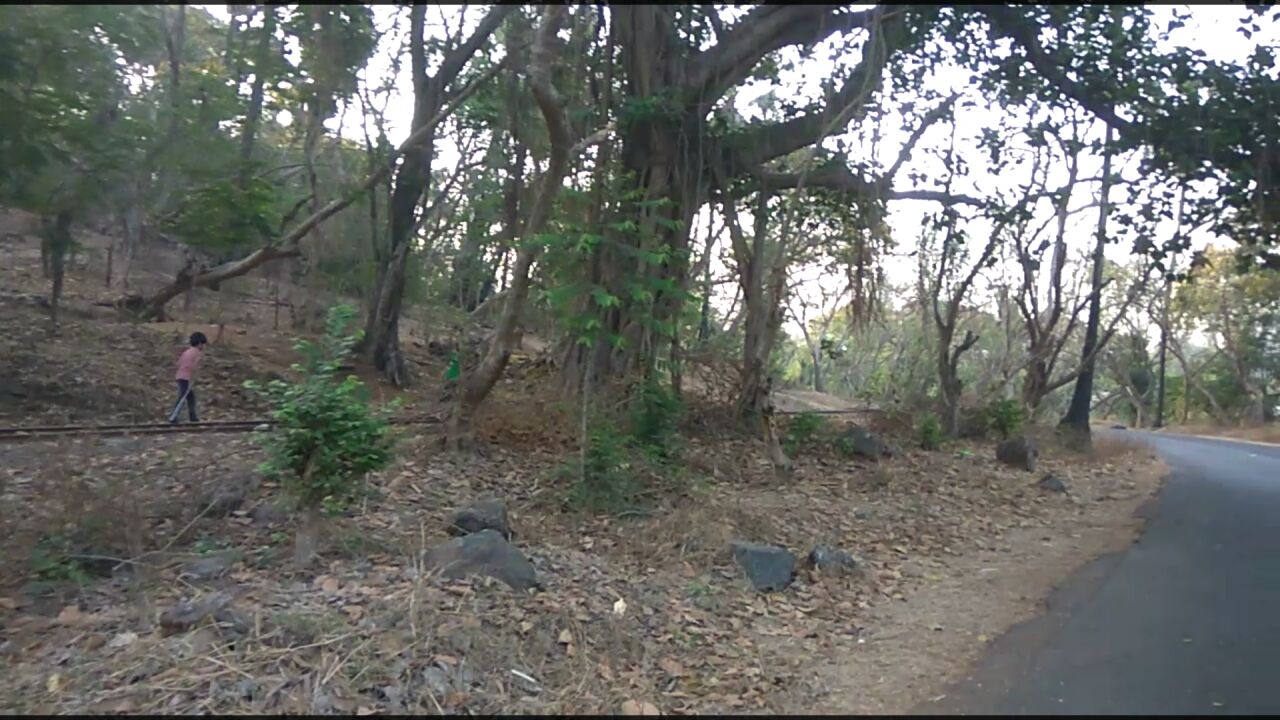 Uddandah's profile banner image