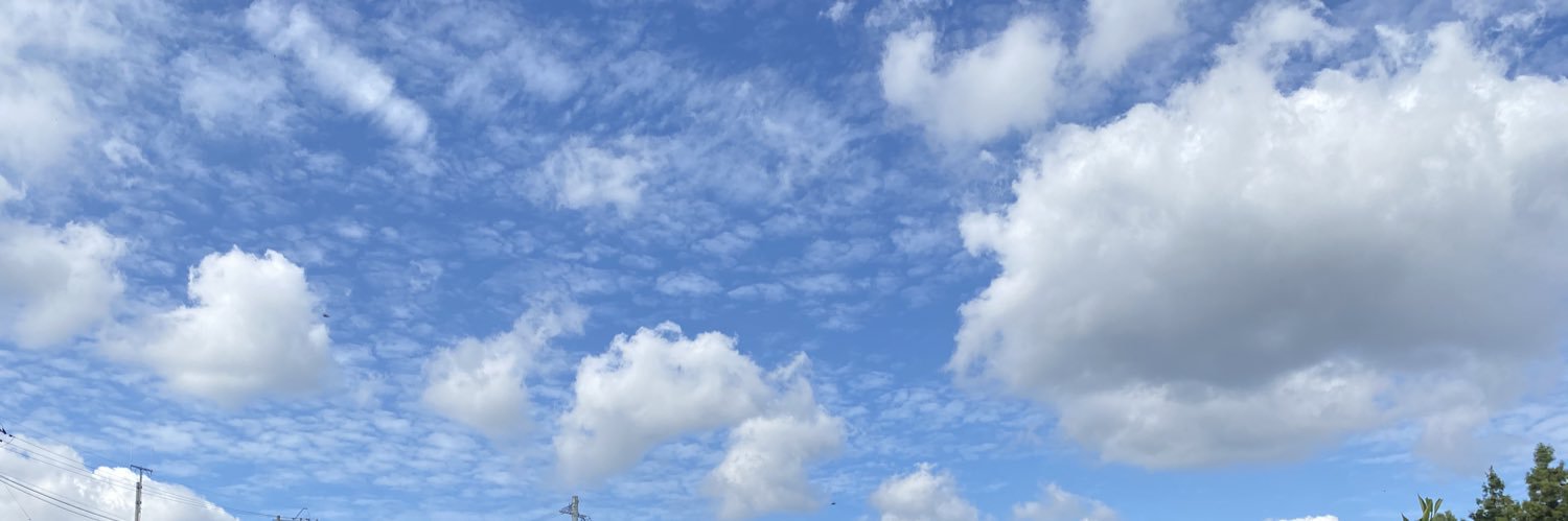 n_sunnatural's profile banner image