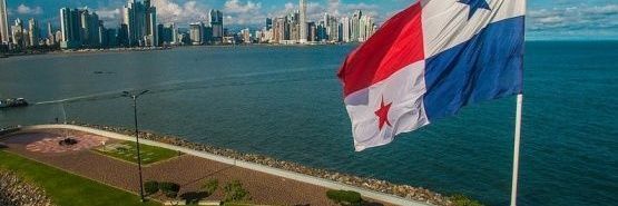 Cambio Democrático banner