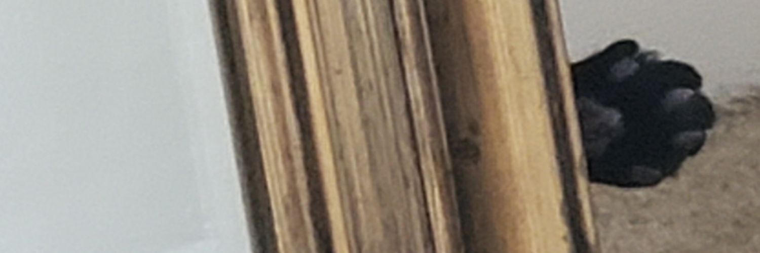 jaj614's profile banner image