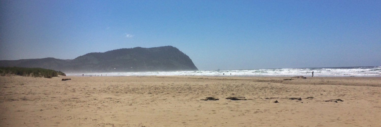 Carrie McLaren banner