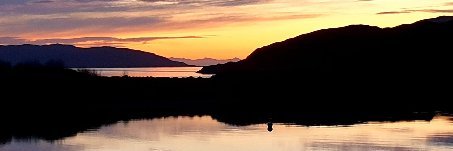 sturadernie's profile banner image