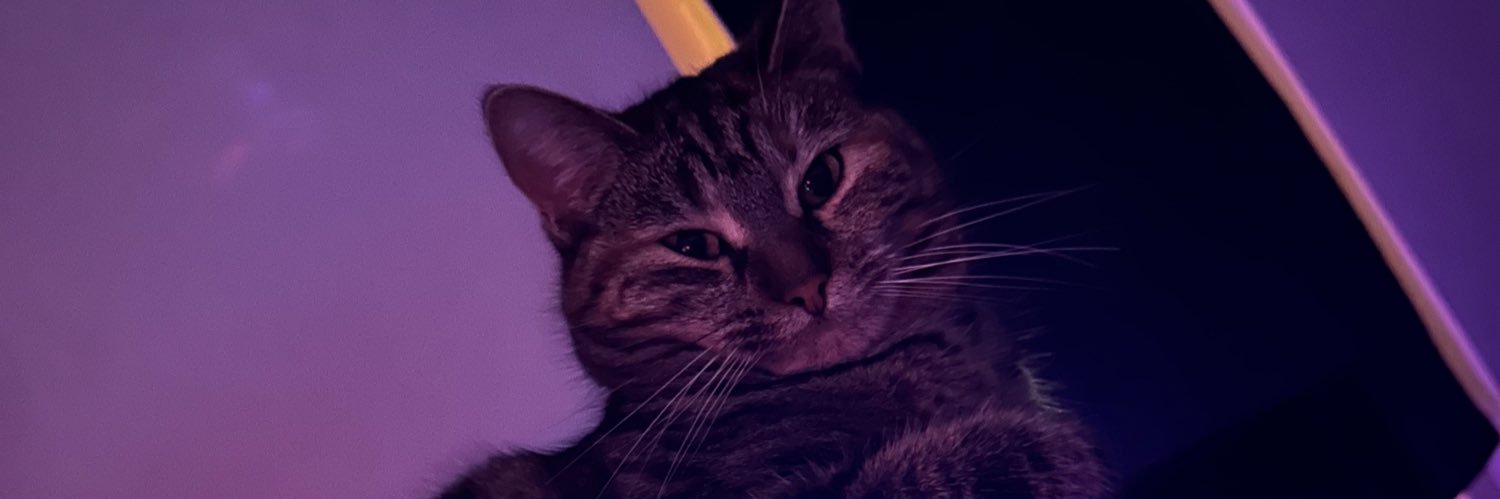 Omelette | top 18% banner