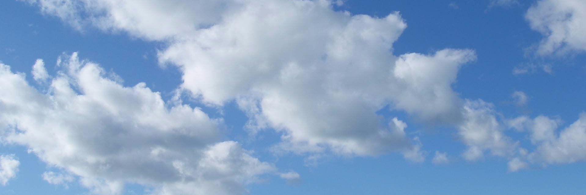 Lassingro's profile banner image