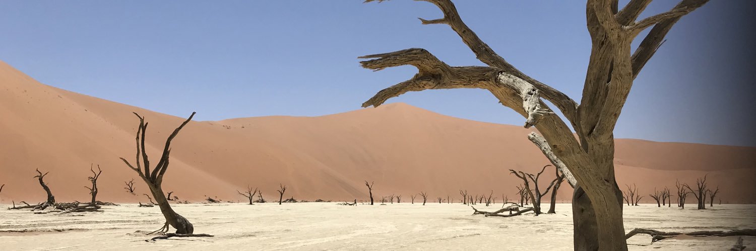 cwillemsens's profile banner image