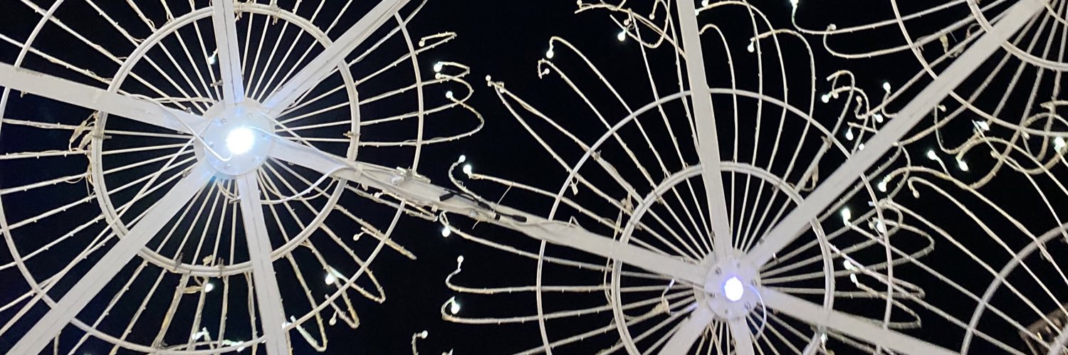 Janice Lynch Schuster banner