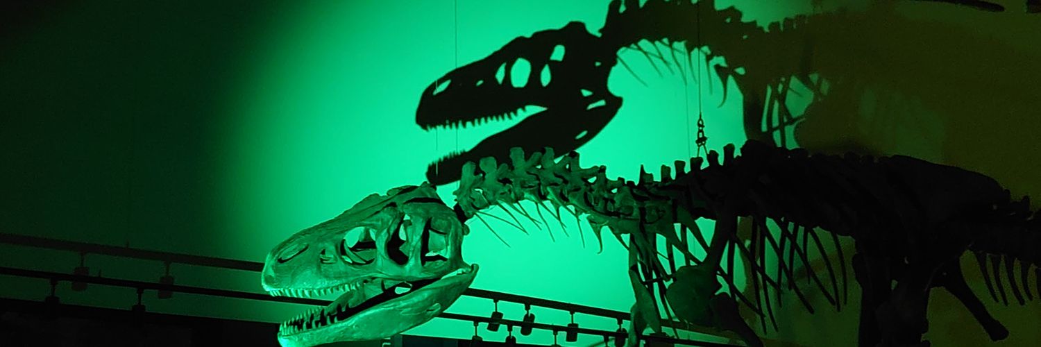 N_716__'s profile banner image
