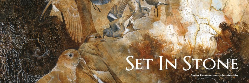 ECC100 Records banner