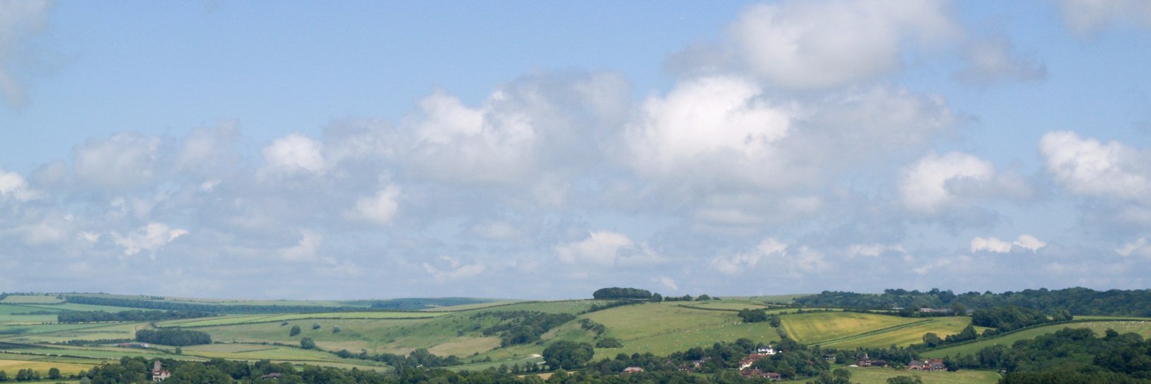 Alexandra Gerbasi banner