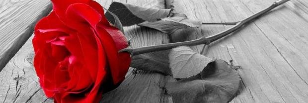 ChindyaR's profile banner image
