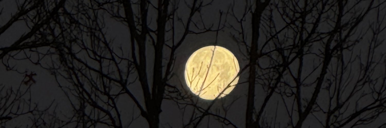 spookylittlelu's profile banner image