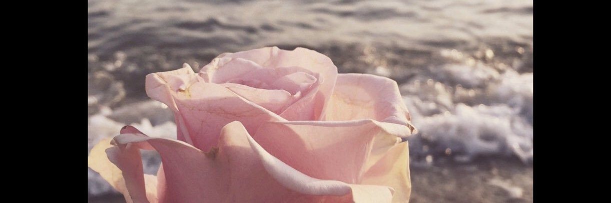 JoyAlexx's profile banner image