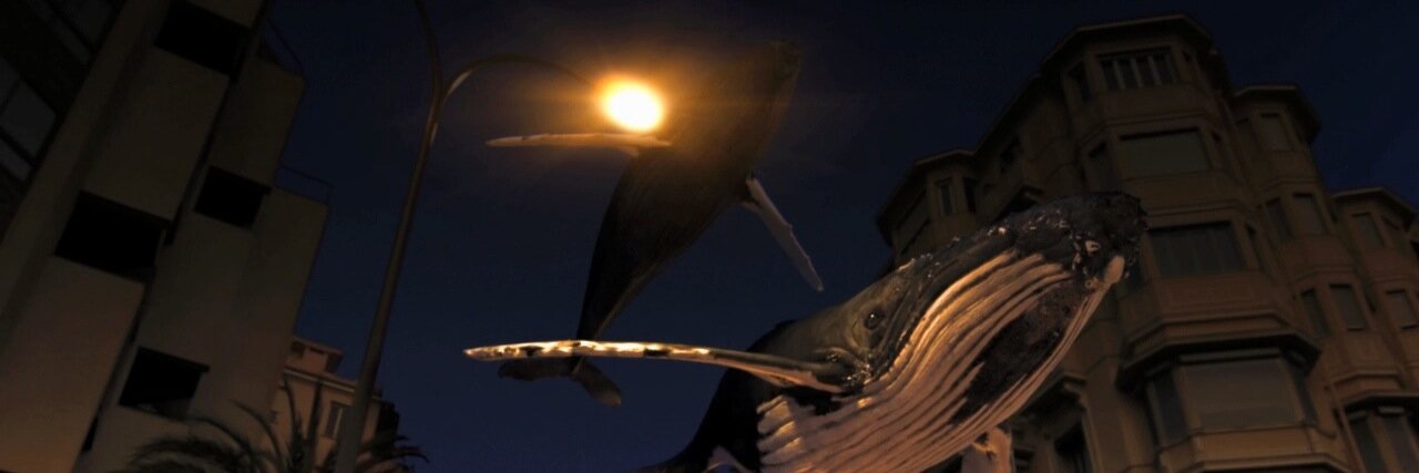 GeofWolfenden's profile banner image