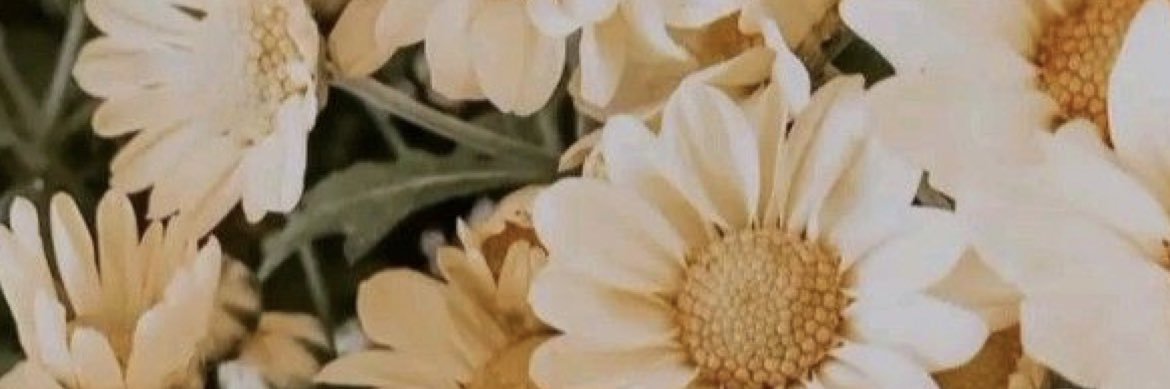 AlCallinan's profile banner image