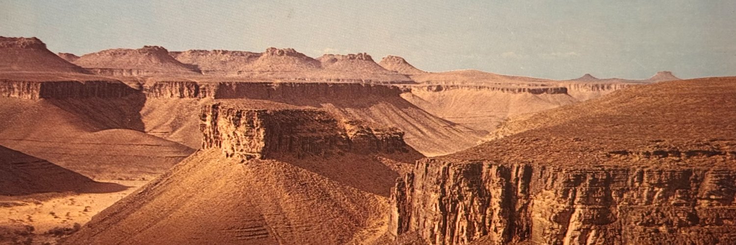 F. M. O'Donnell banner