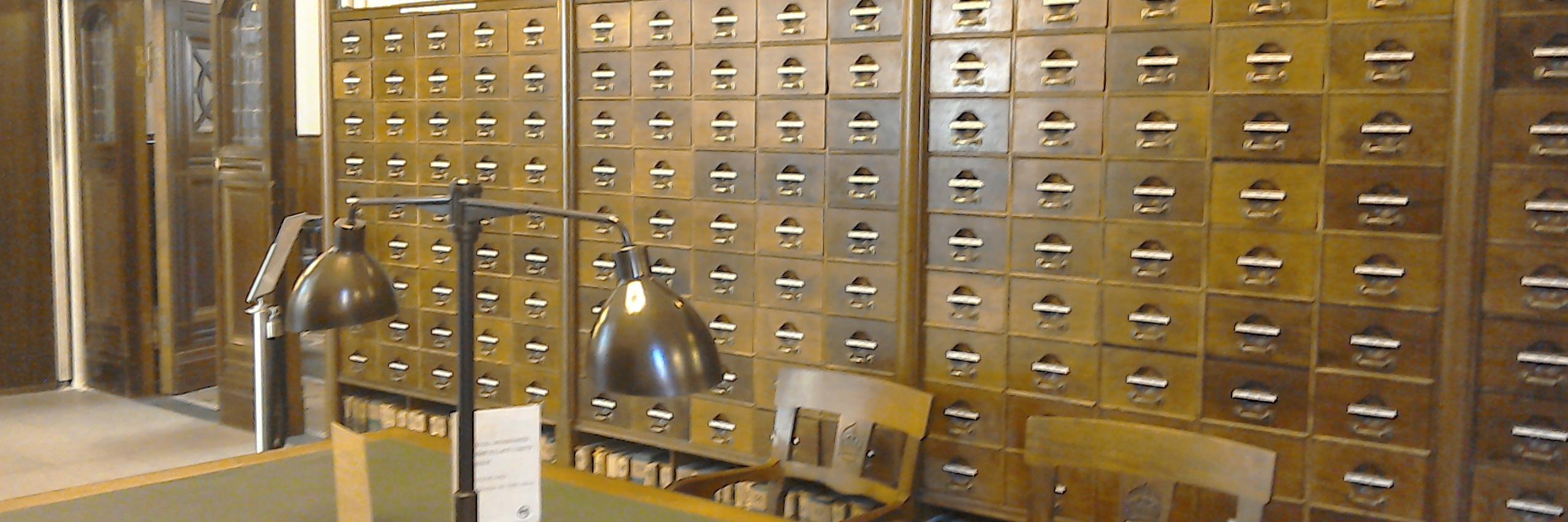 Dr Deborah Lee banner