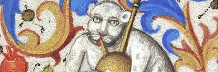 Bacovaca's profile banner image