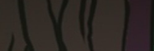 susilo8956's profile banner image