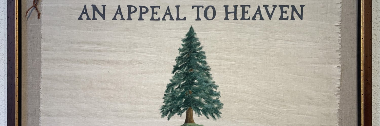 Stateless Med banner