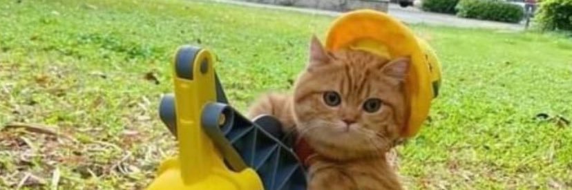 love_nootoom's profile banner image