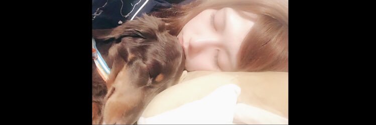 pyoooon0529's profile banner image