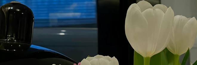 zexew1992's profile banner image