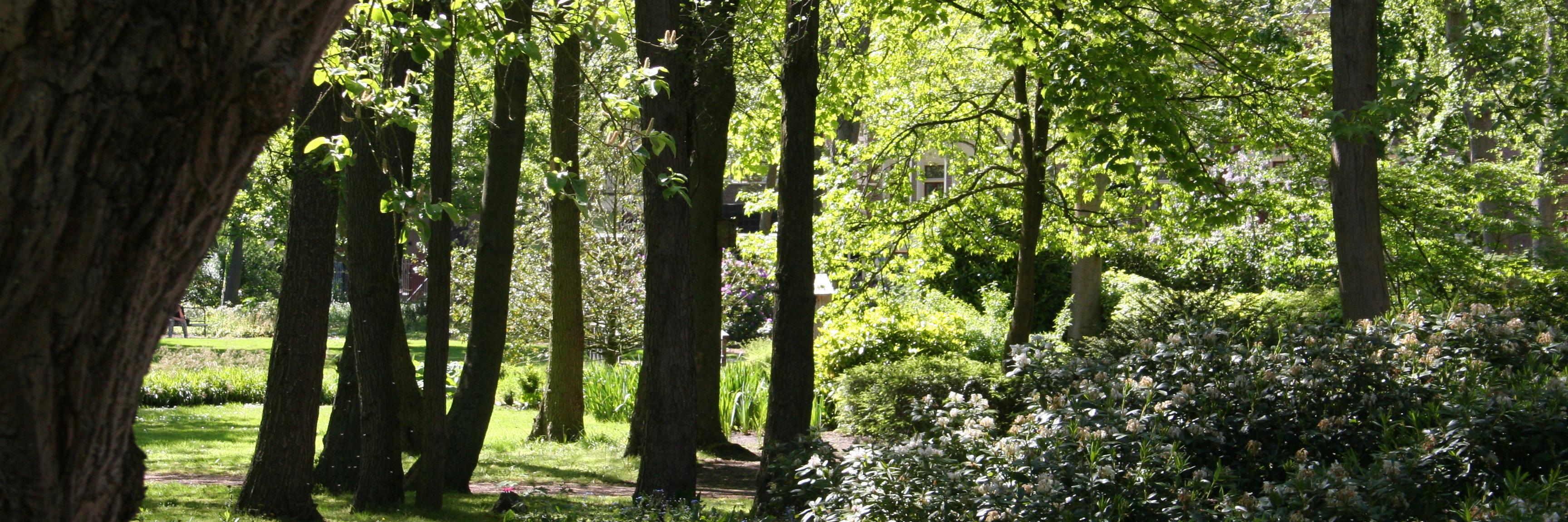 CultHartAssen's profile banner image