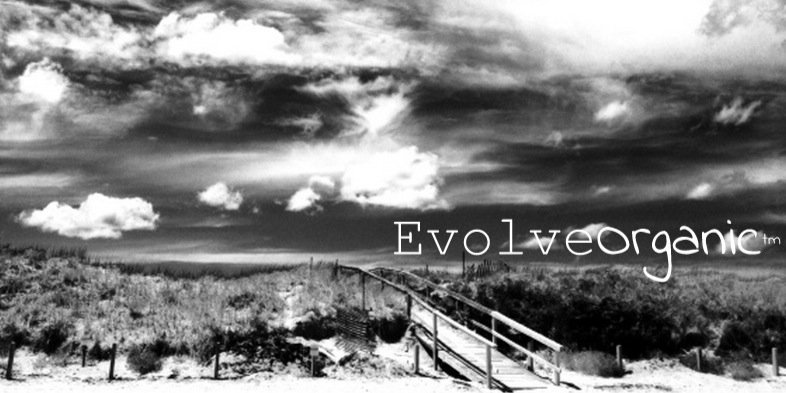 EvolveOrganic banner