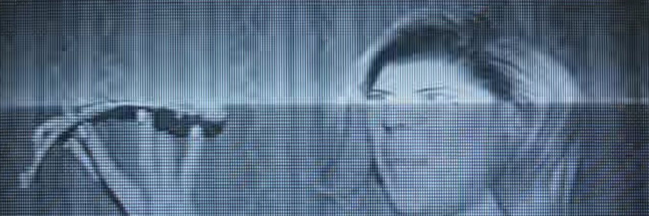 GotDamnDanni's profile banner image