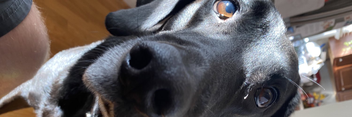 JoshAustin79's profile banner image
