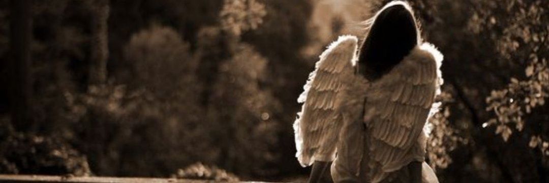 AnglBaaaby's profile banner image