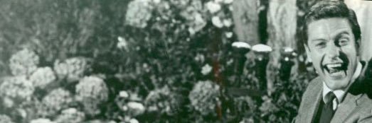Bobs banner