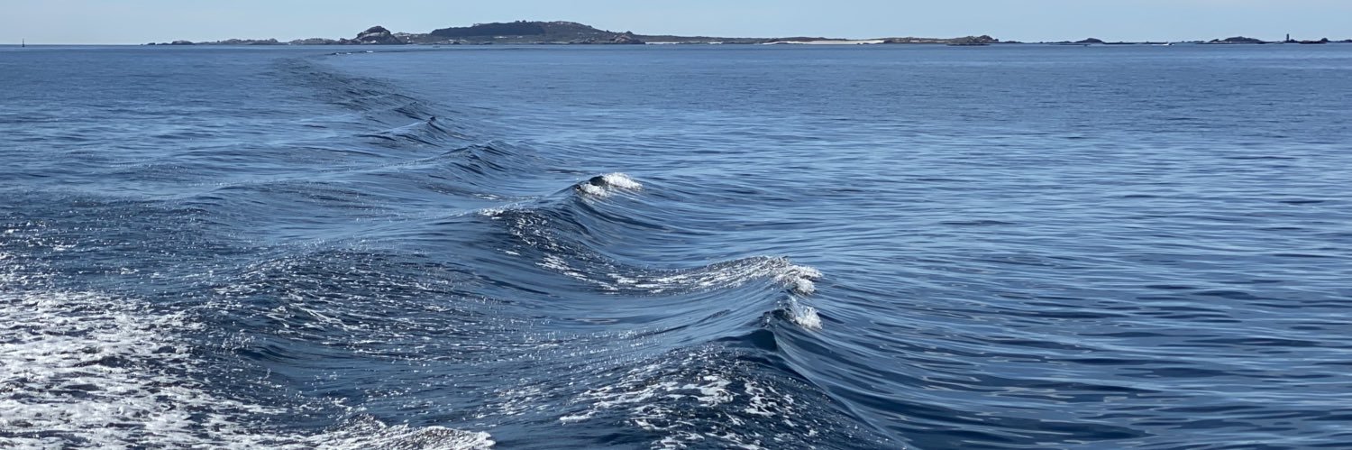 José Miguel Sardo banner