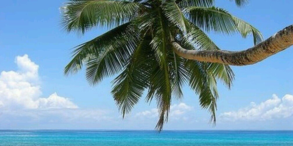 Richard Bertoncin banner