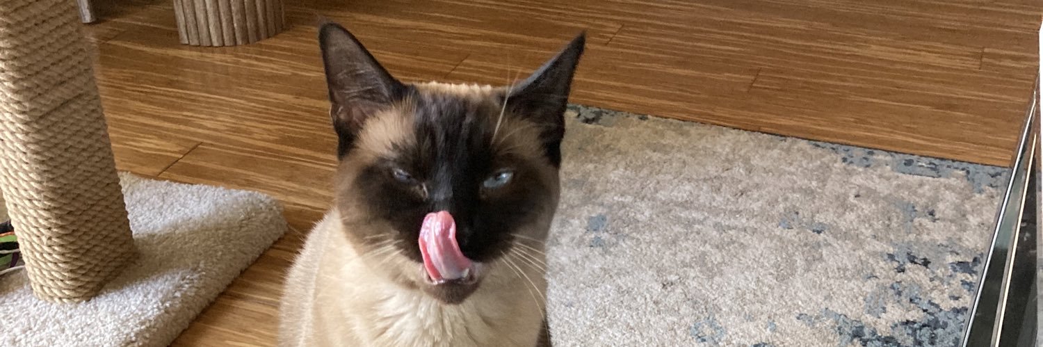 thechillyheaux's profile banner image