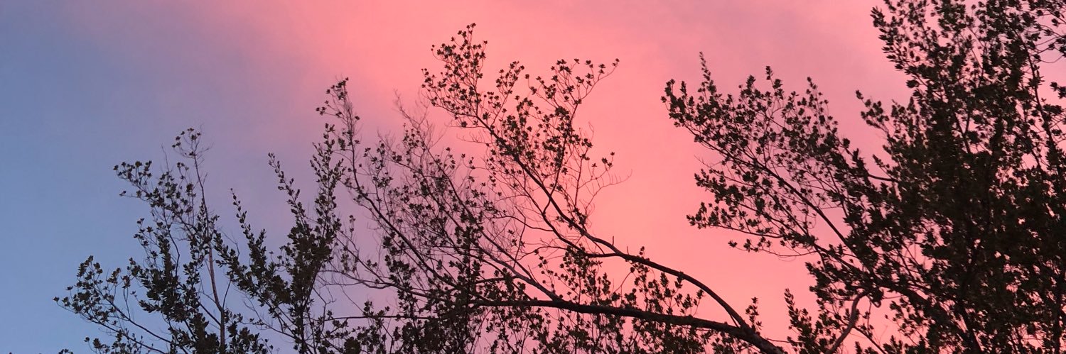 jade_baroon's profile banner image