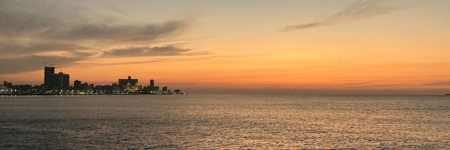 RuscioLola's profile banner image