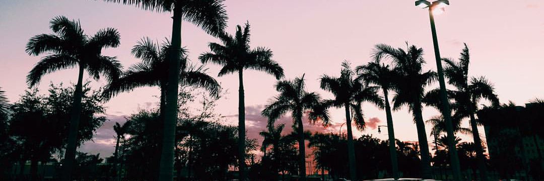 macaloguzzo_11's profile banner image